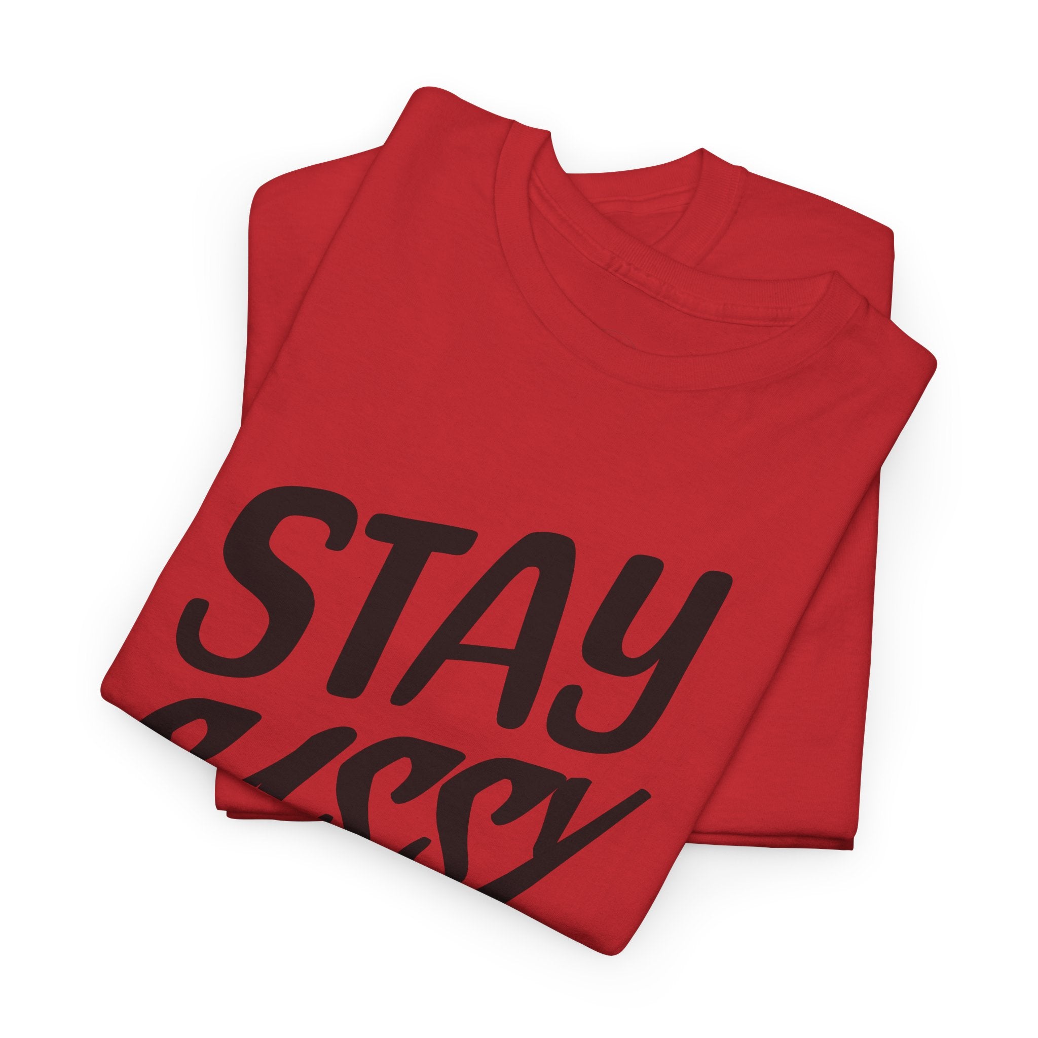 Stay Sassy Unisex Heavy Cotton Tee, Funny T-Shirt, Casual Wear, Gifts for Friends, Sassy Quote Tee, Statement T-Shirt