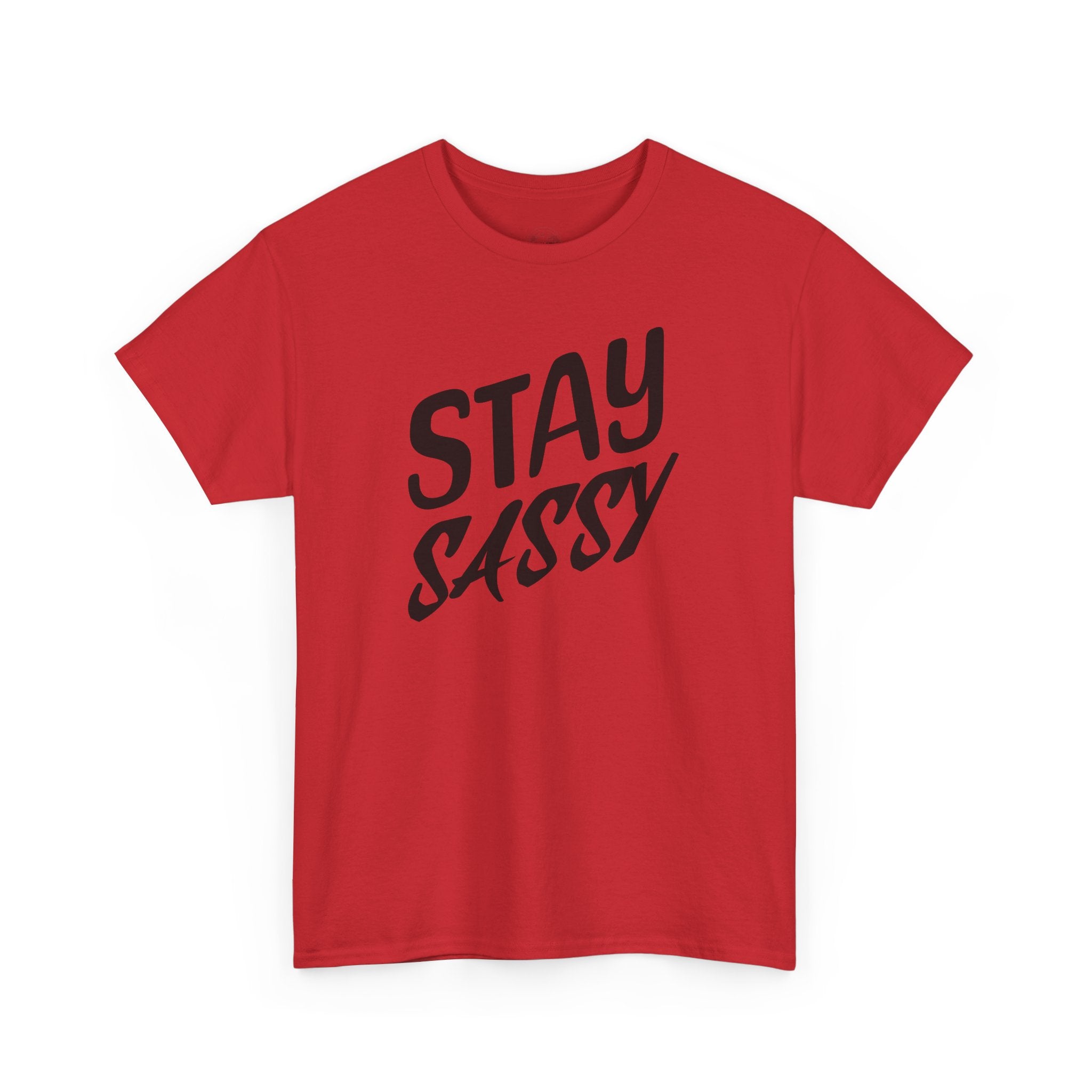 Stay Sassy Unisex Heavy Cotton Tee, Funny T-Shirt, Casual Wear, Gifts for Friends, Sassy Quote Tee, Statement T-Shirt