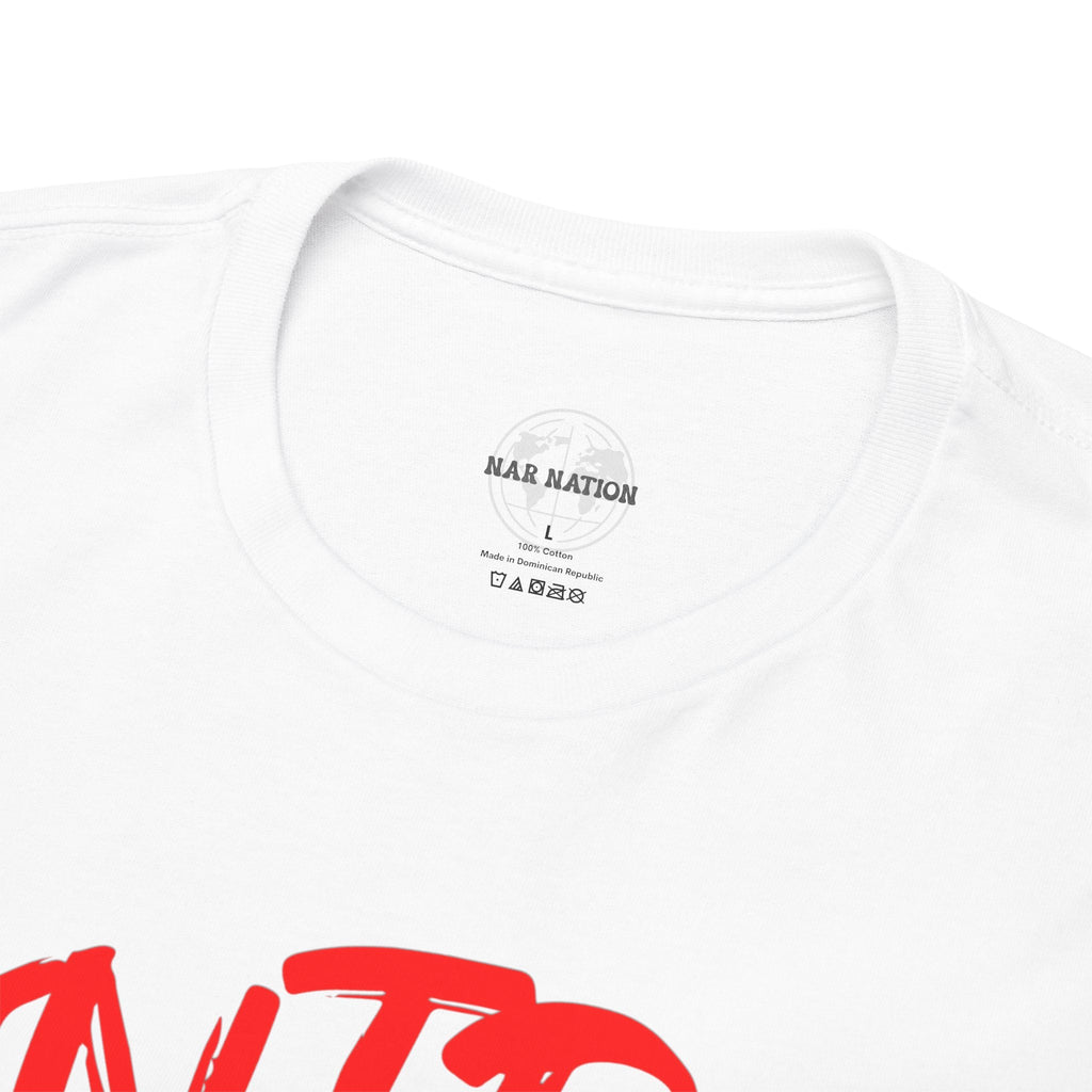 Introvert t-shirt | Unisex, Casual Wear, Gift for Introverts, Comfortable Style, Graphic Tee